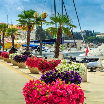porec web10.png